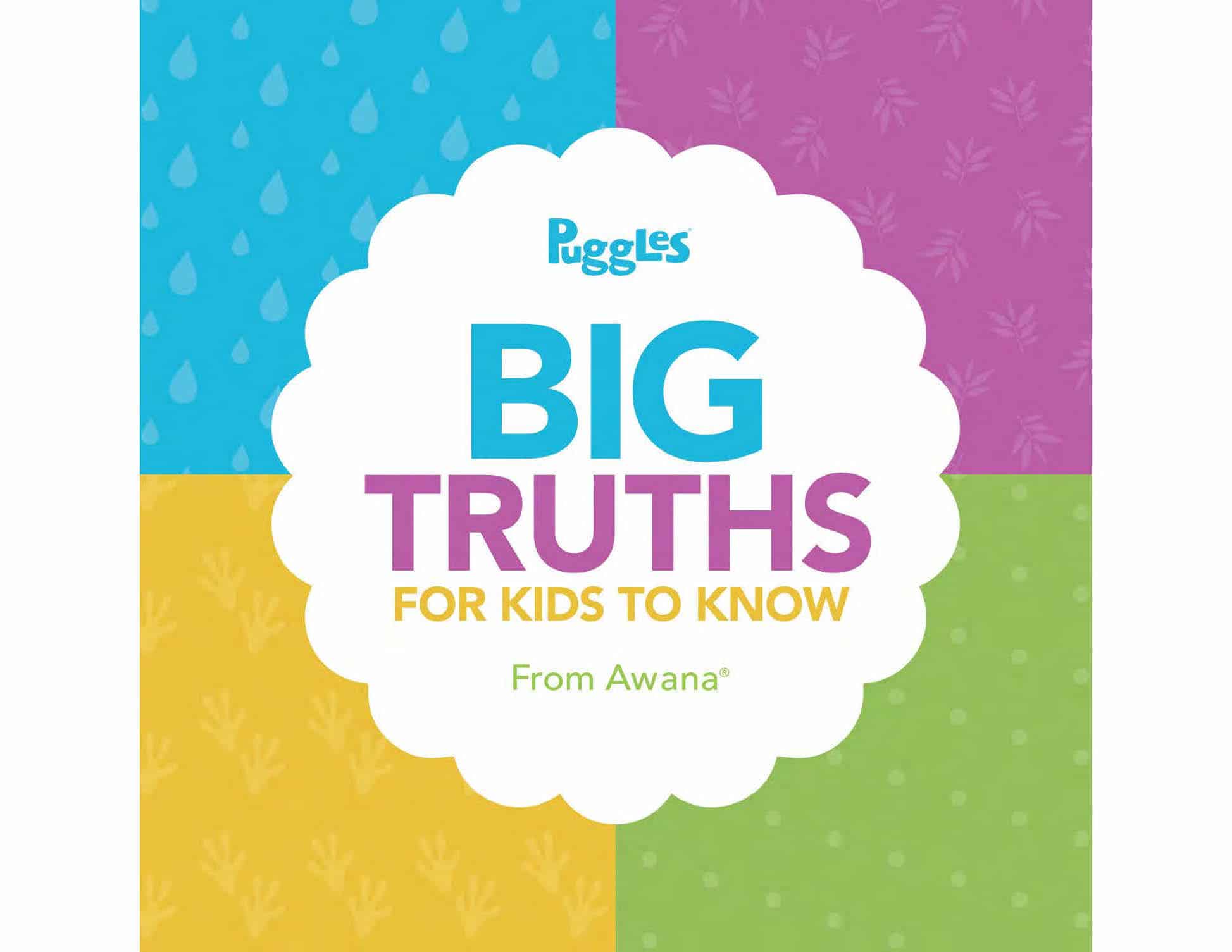 Puggles Big Truths Cover